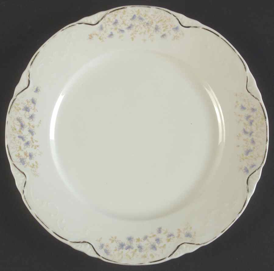 JB1038 Luncheon Plate by Johnson Brothers-1