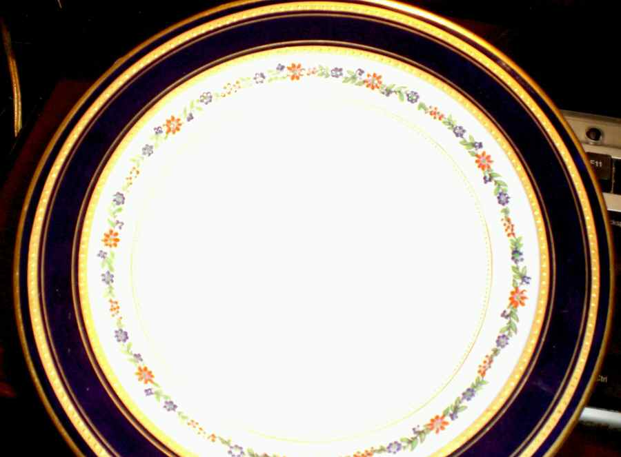 JON88 Dinner Plate by Tiffany-1