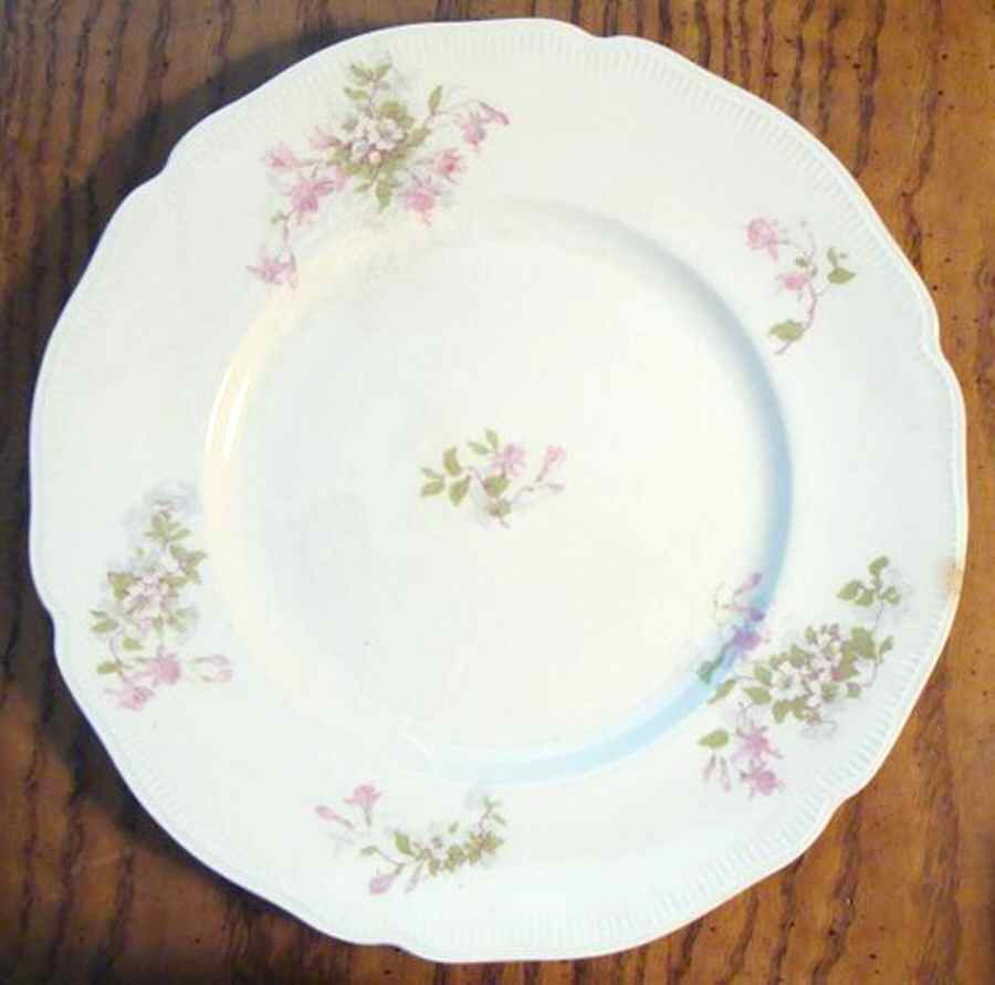 JB1063 Dinner Plate by Johnson Brothers-1