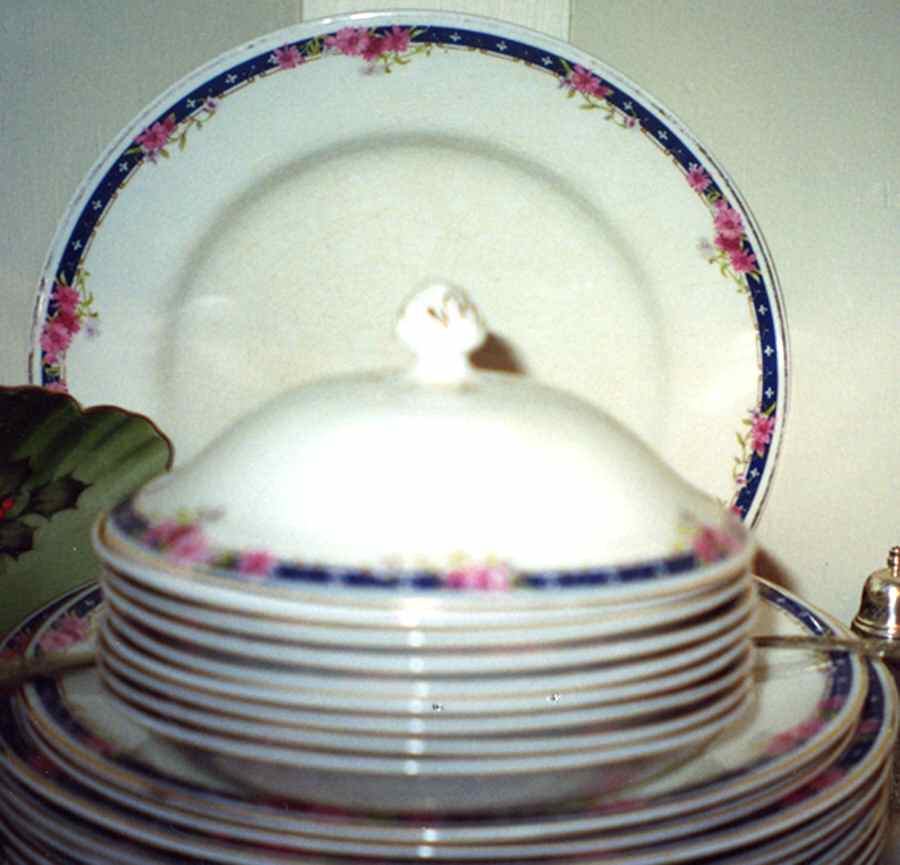 JB1064 Dinner Plate by Johnson Brothers-1