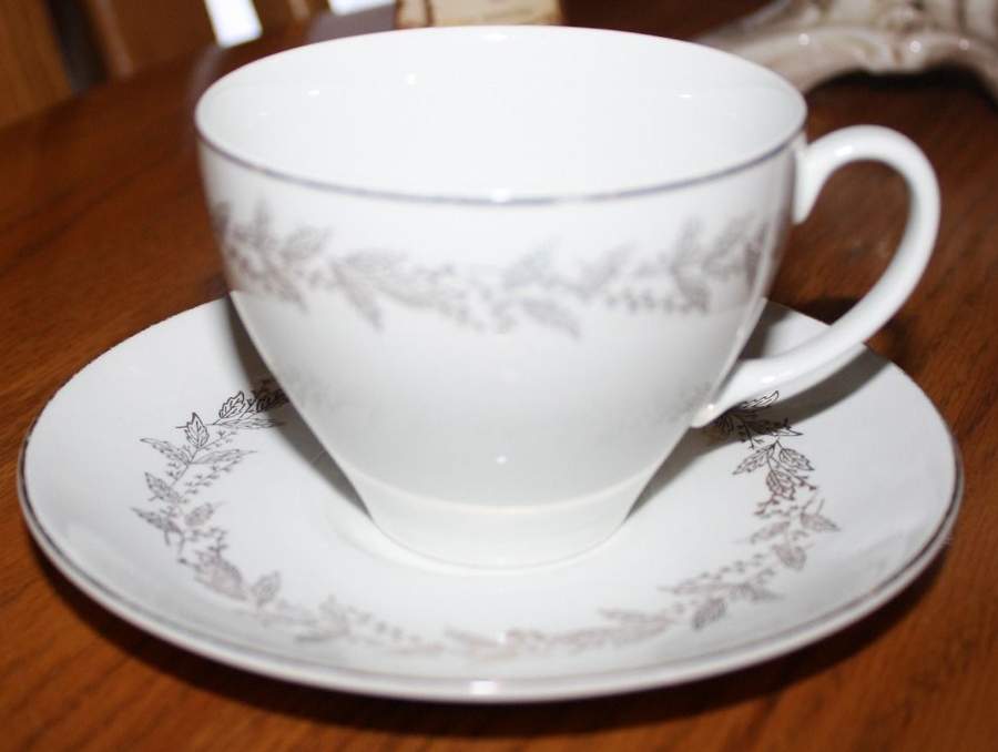 JB1065 Flat Cup & Saucer Set by Johnson Brothers-1