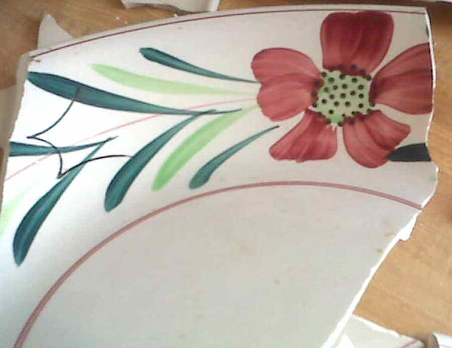 JAP909 Dinner Plate by Japan-1