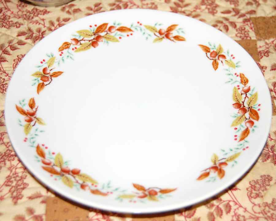 JAP914 Dinner Plate by Japan-1