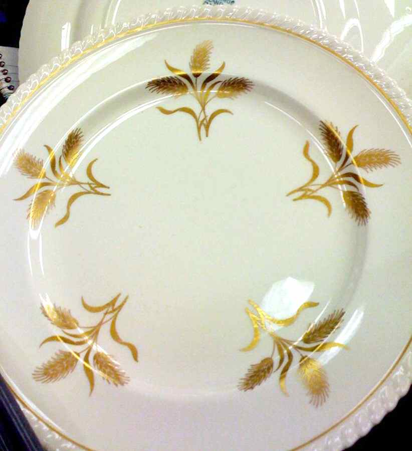 JB1076 Dinner Plate by Johnson Brothers-1