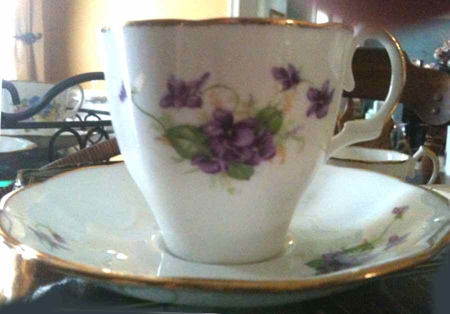 J557 Flat Cup & Saucer Set by Jason (England)-1