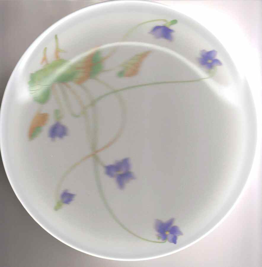 JAP934 Salad Plate by Japan-1