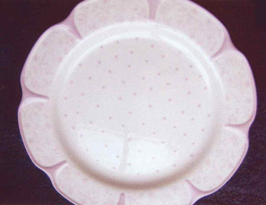 Petite Flowers Pink Dinner Plate by Jay Import-1