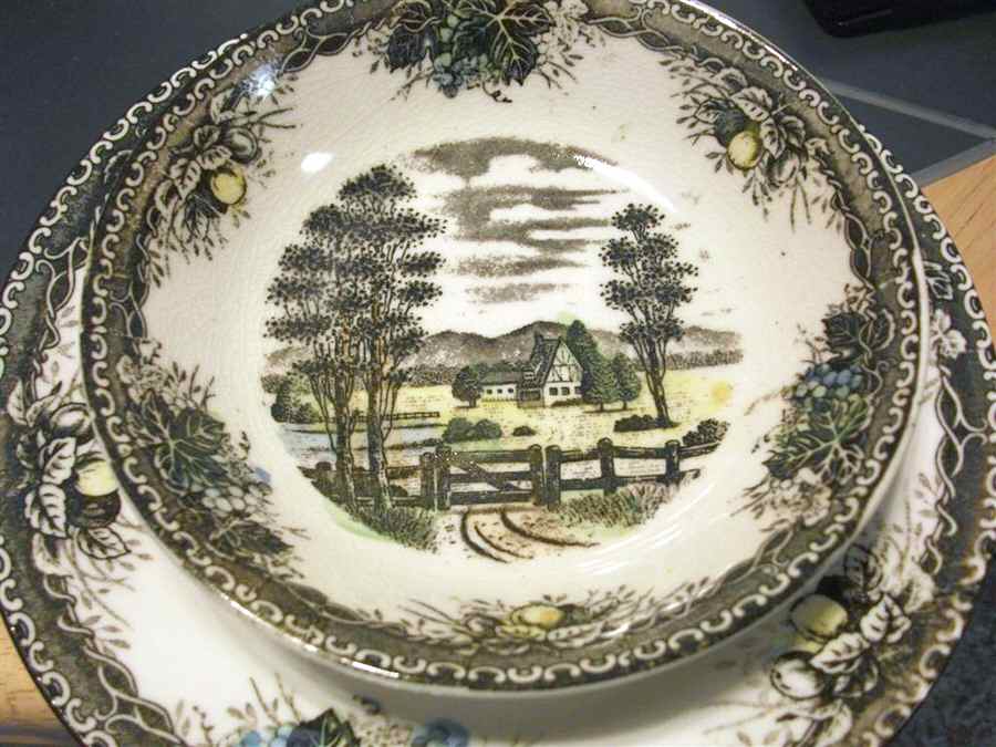 Spring Valley Dinner Plate by Japan-1