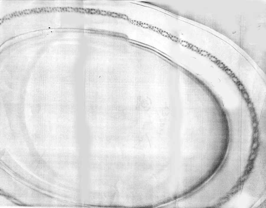 23804 14" Oval Serving Platter by Tiffany-1