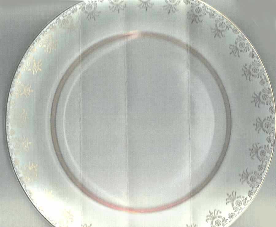 Richelieu (Snowwhite) Dinner Plate by Johnson Brothers-1