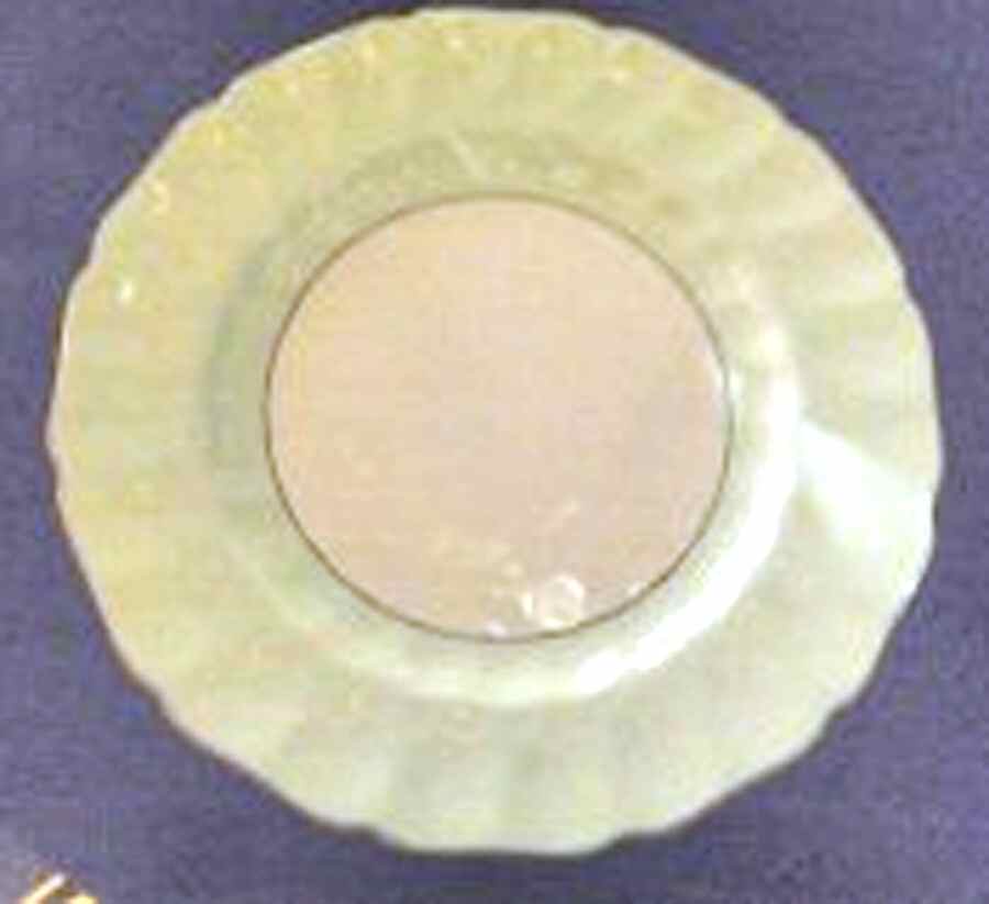 JB902 Pale Green Dinner Plate by Johnson Brothers-1