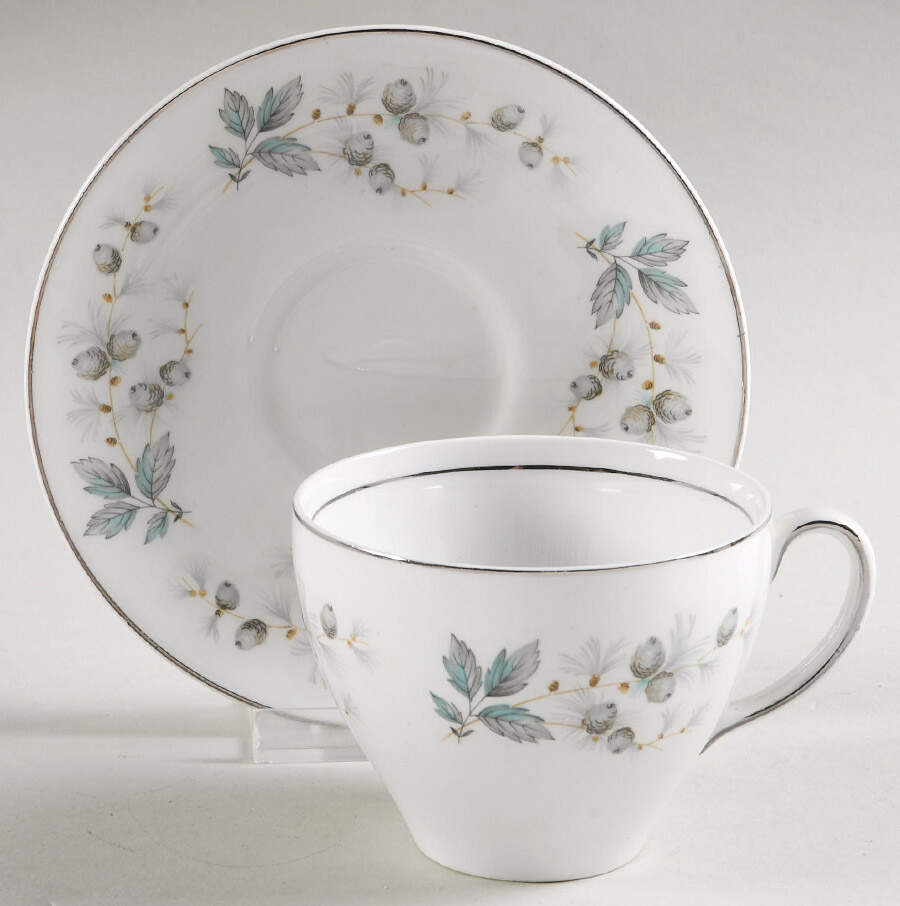 JB1100 Flat Cup & Saucer Set by Johnson Brothers-1