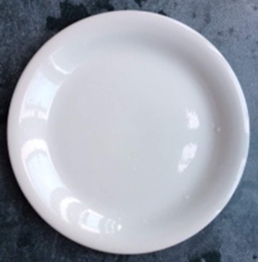 JOT12 Dinner Plate by John Tams-1