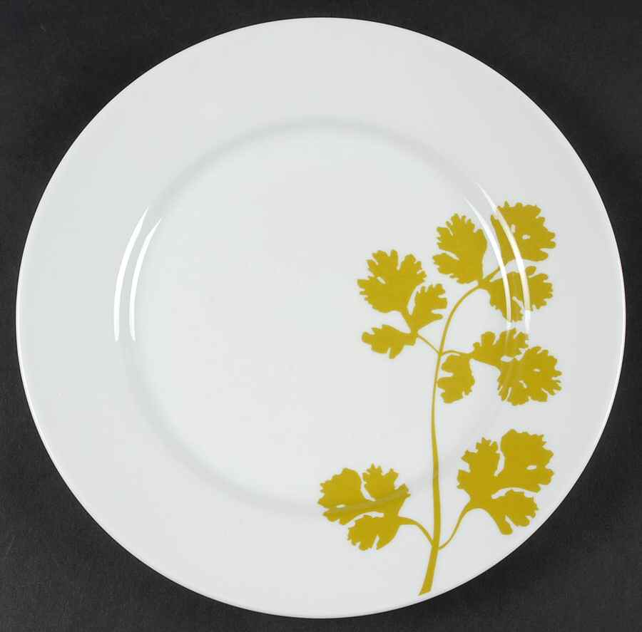 Cooks Green Salad Plate by JCPenney-1