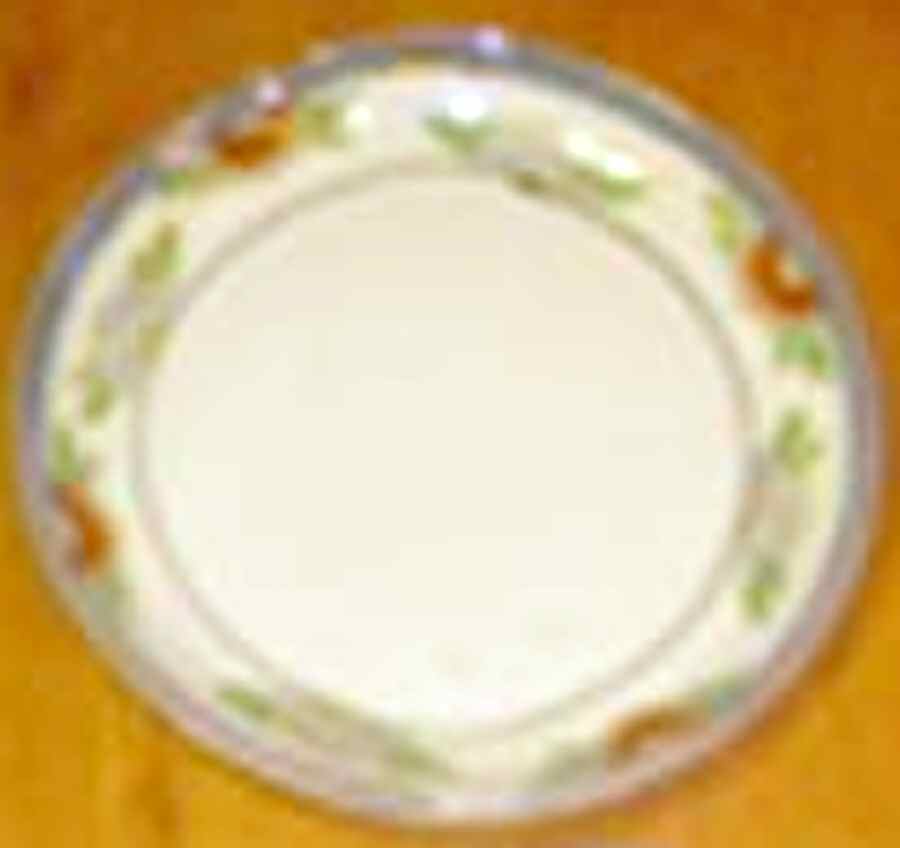 JAP995 Dinner Plate by Japan-1