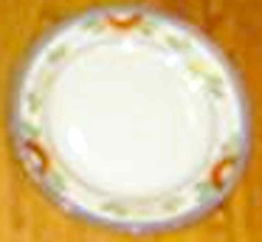 JAP995 Salad Plate by Japan-1