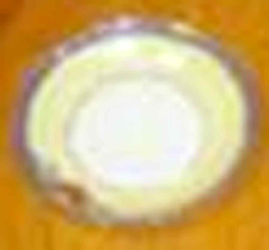 JAP996 Saucer by Japan-1