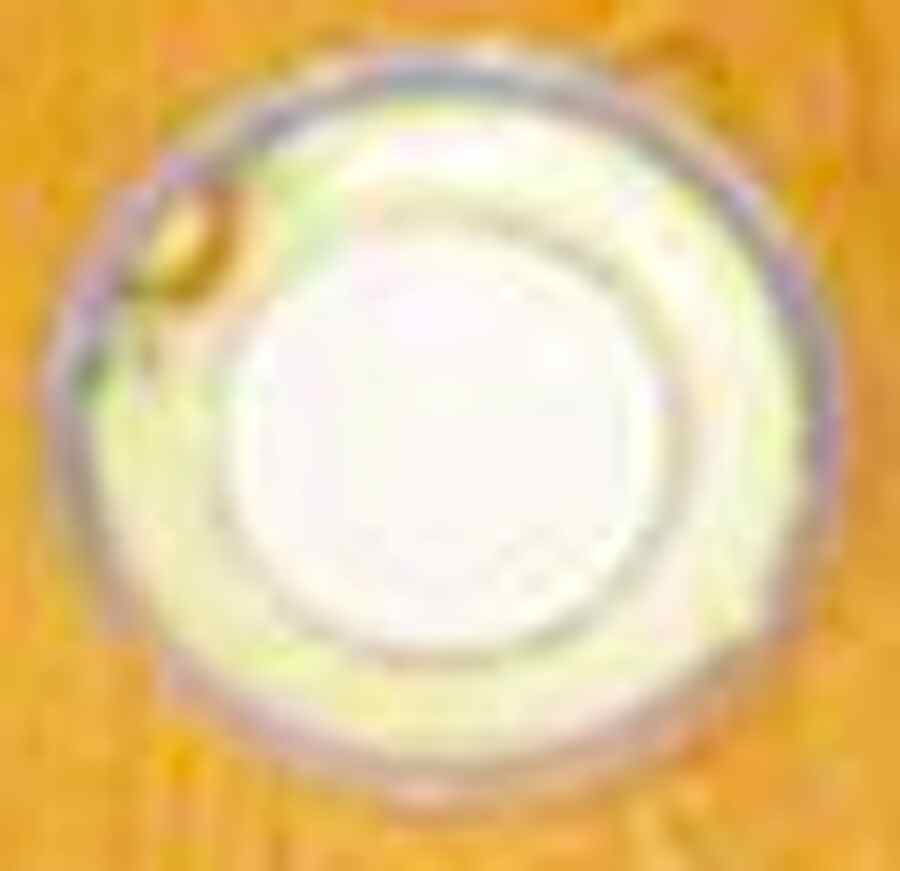 JAP996 Salad Plate by Japan-1