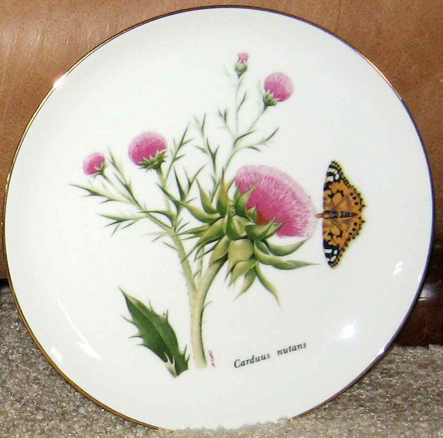 JKW65 Salad Plate by JKW Bavaria-1