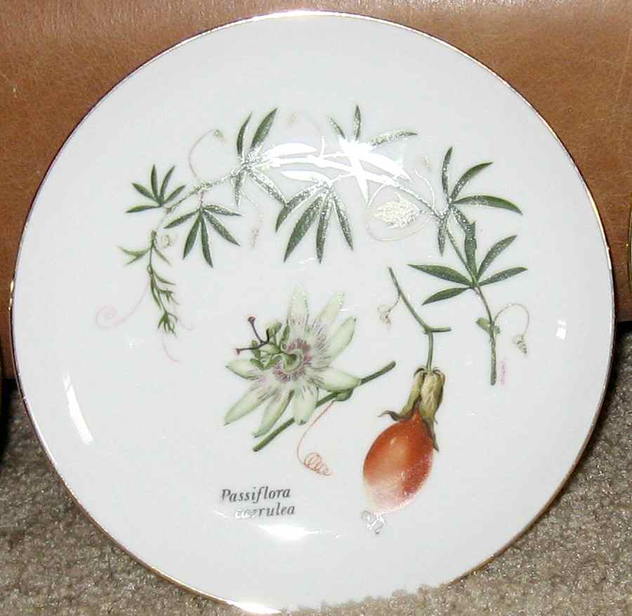 JKW65 Salad Plate by JKW Bavaria-1