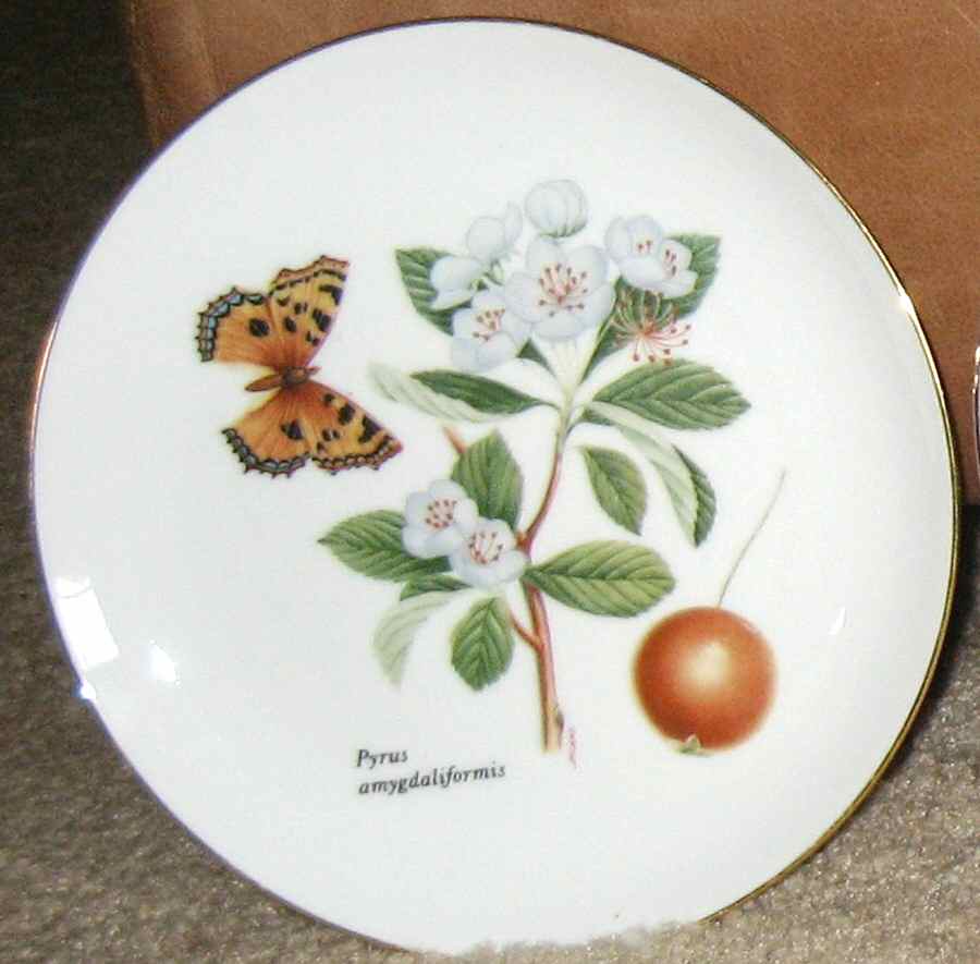 JKW65 Salad Plate by JKW Bavaria-1