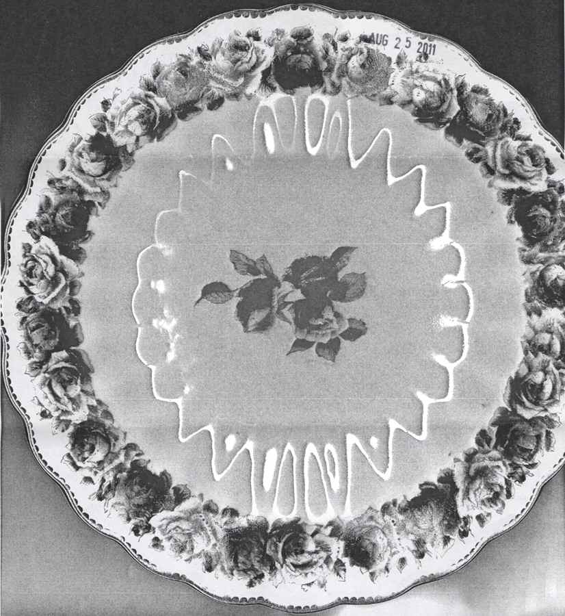 16395 Dinner Plate by George Jones & Sons-1