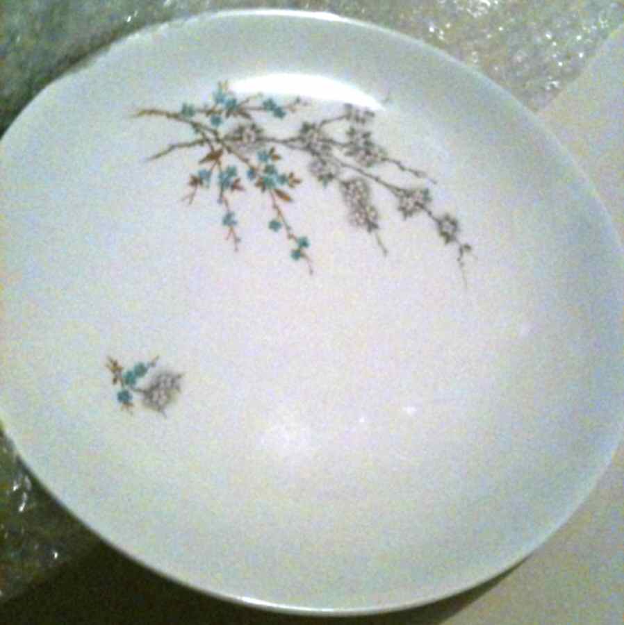 JB1118 Dinner Plate by Johnson Brothers-1
