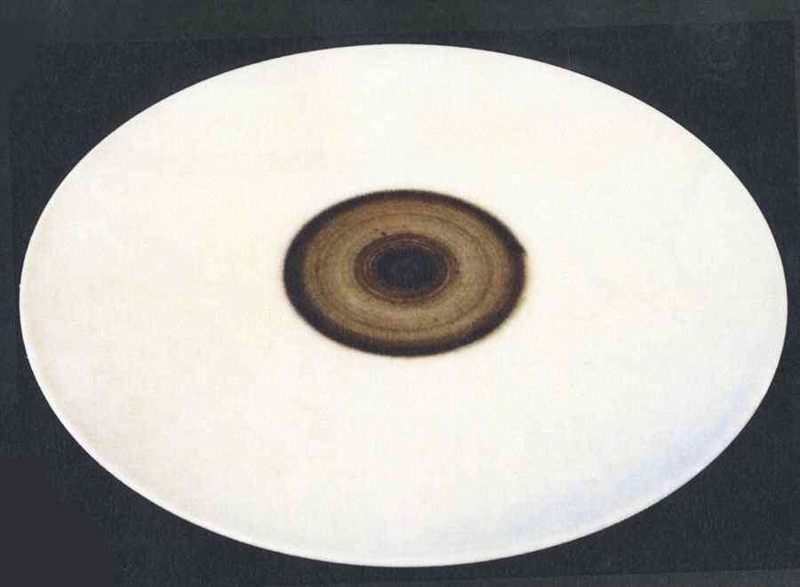 Tellure White Dinner Plate by Jaune de Chrome-1