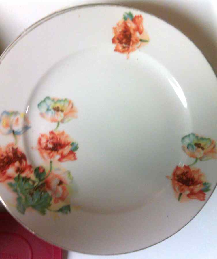 JAP1036 Dinner Plate by Japan-1