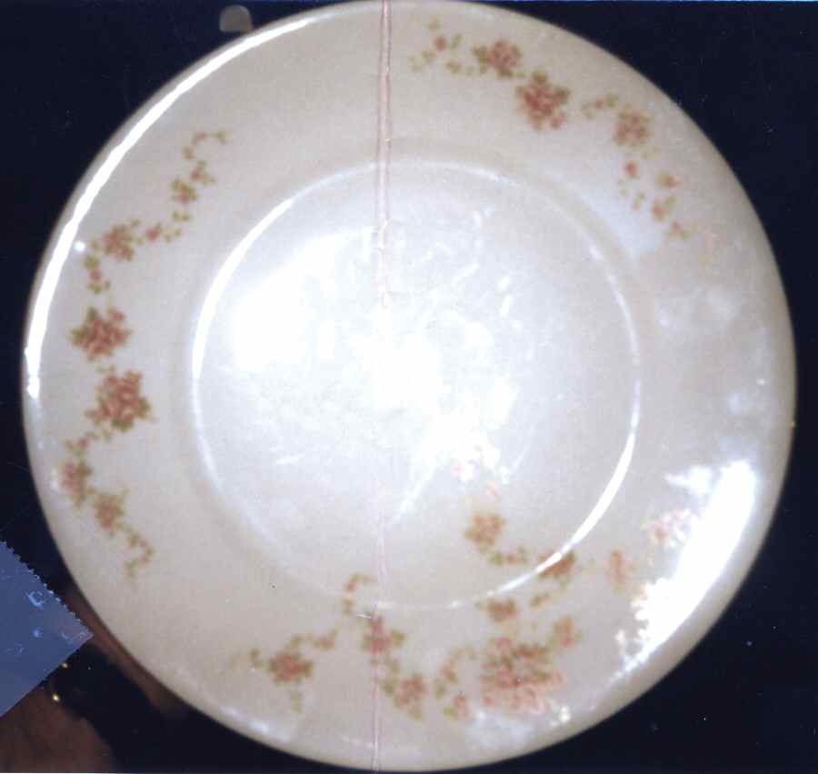 JAE237 Dinner Plate by Jaeger-1