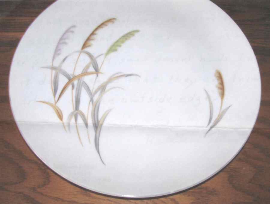 Marsh Reed Dinner Plate by Japan-1