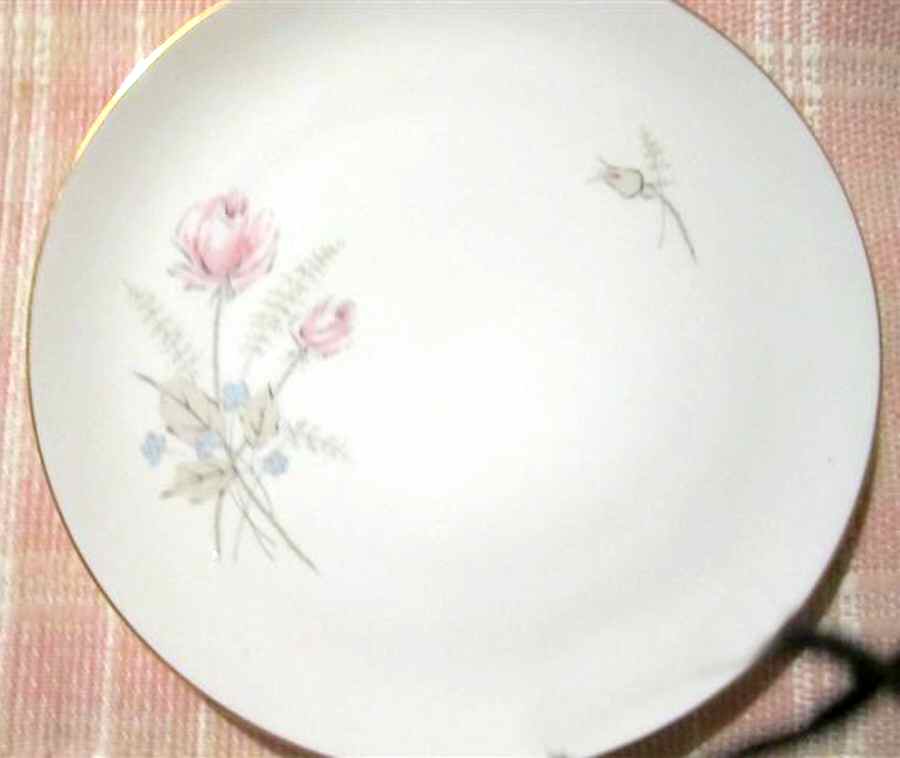 JOH418 Dinner Plate by Johann Haviland-1
