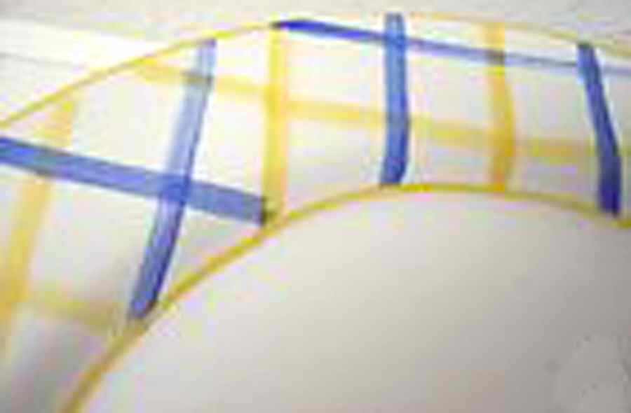 JCP24 Dinner Plate by JCPenney-1