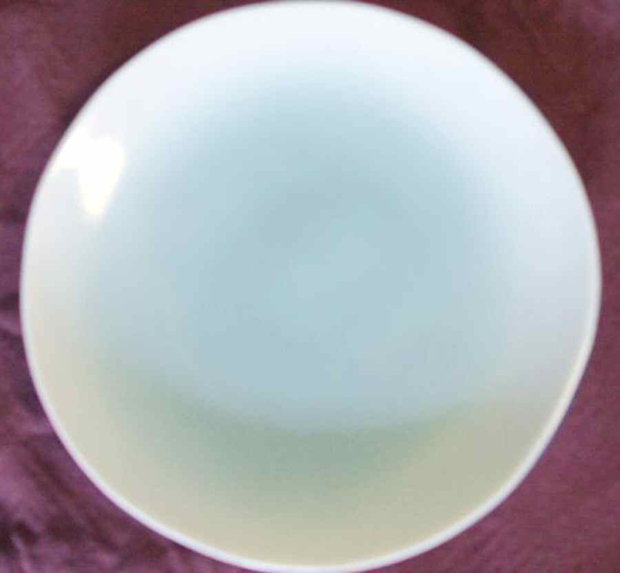 JAP1058 Dinner Plate by Japan-1