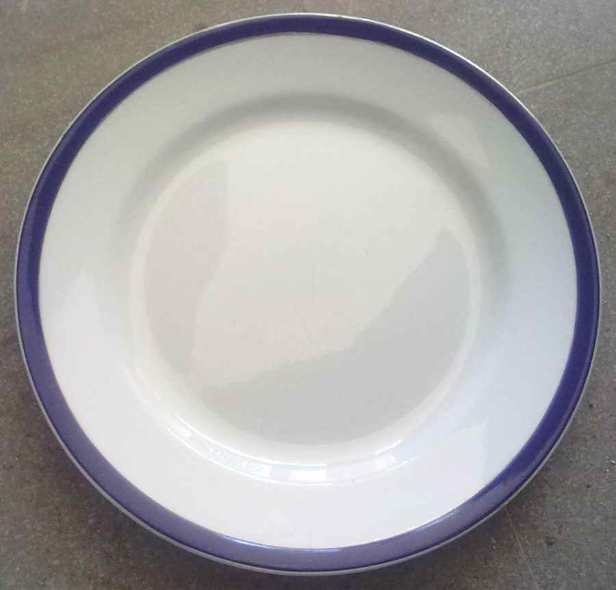 JB1142 Dinner Plate by Johnson Brothers-1