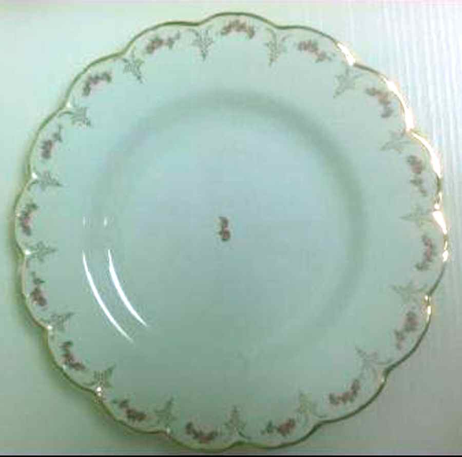 JB1170 Dinner Plate by Johnson Brothers-1