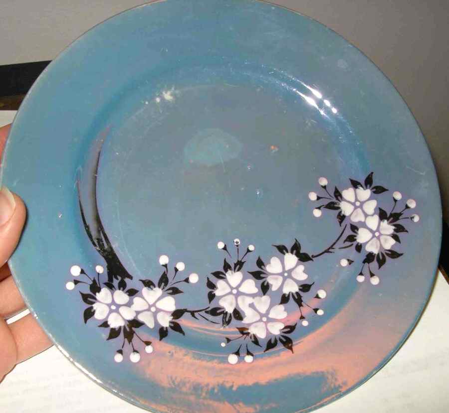 PAQ31 Dinner Plate by Paulownia-1