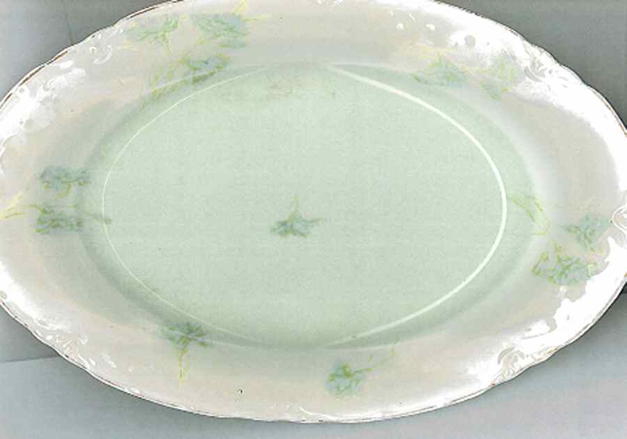 JB1154 (Gold Trim) Luncheon Plate by Johnson Brothers-1