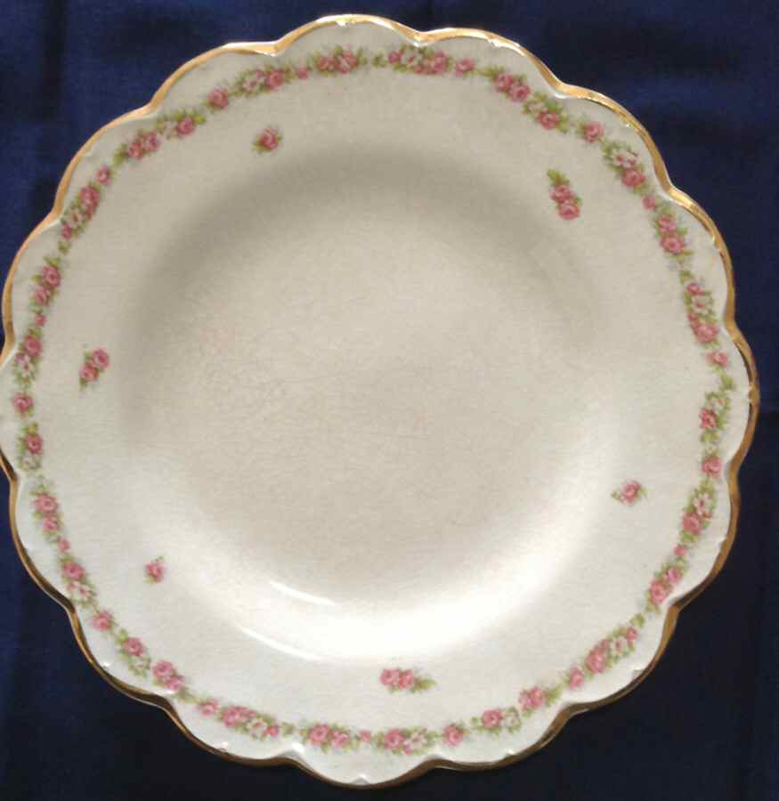 JB1181 Dinner Plate by Johnson Brothers-1
