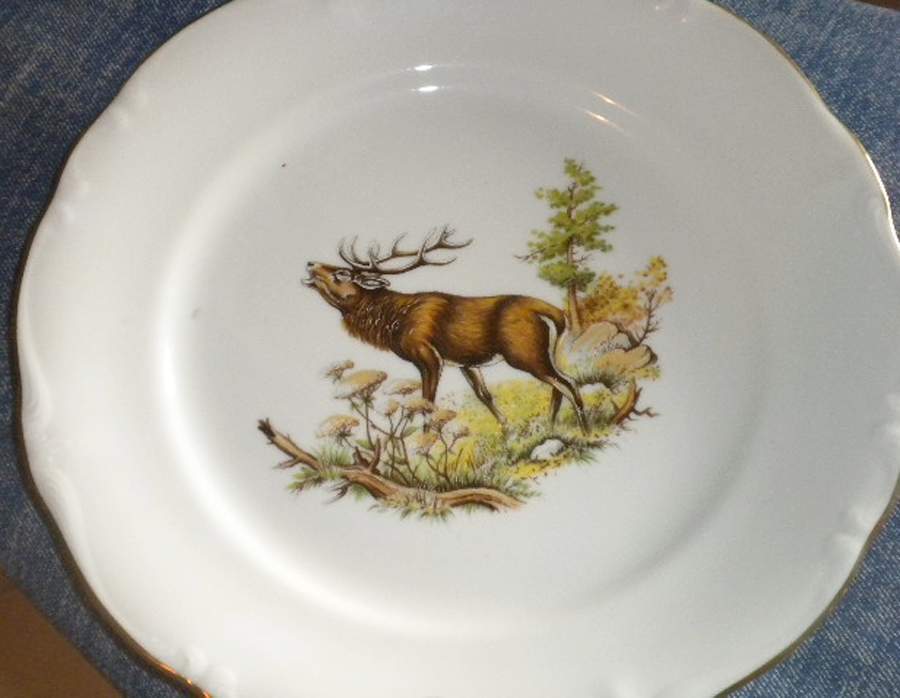 JOH427 Dinner Plate by Johann Haviland-1