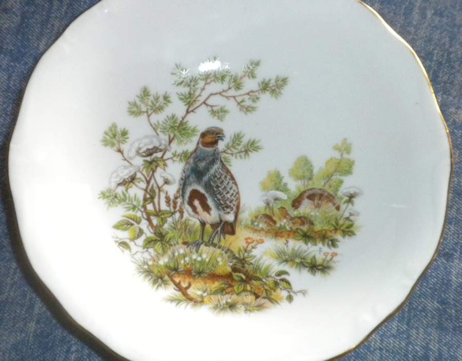 JOH427 Dinner Plate by Johann Haviland-1