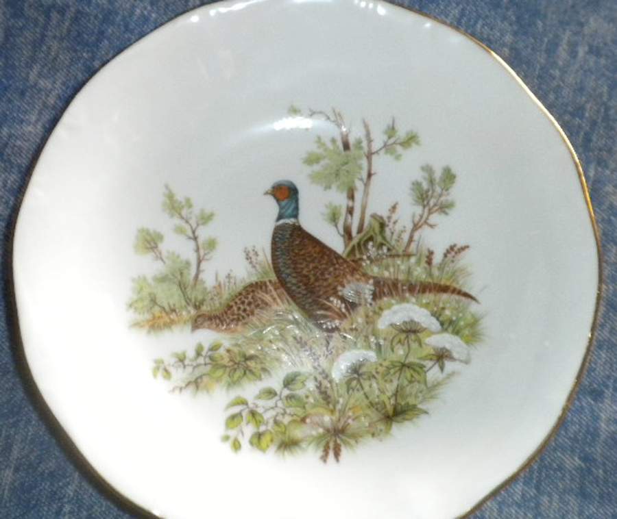 JOH427 Dinner Plate by Johann Haviland-1