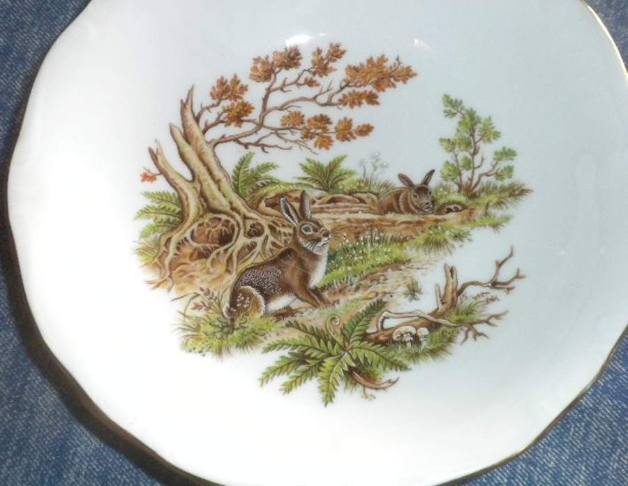 JOH427 Dinner Plate by Johann Haviland-1