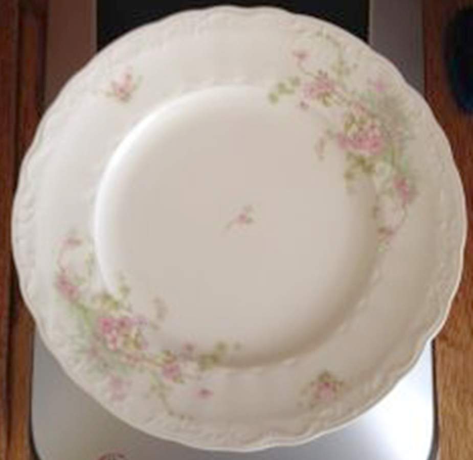 JB1195 Dinner Plate by Johnson Brothers-1