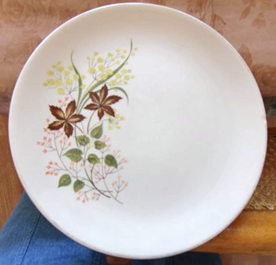 JB1196 Dinner Plate by Johnson Brothers-1