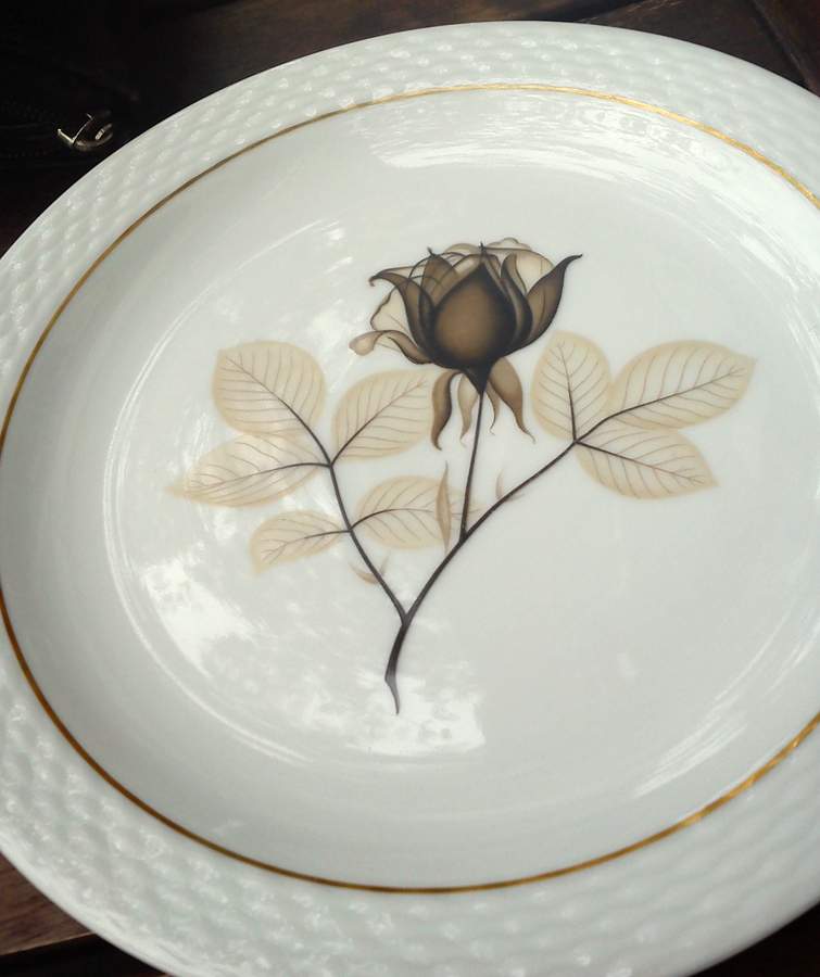 JOH429 Dinner Plate by Johann Haviland-1