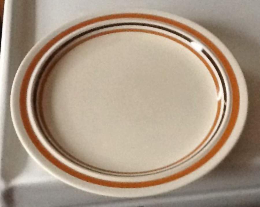 Concentrics Dinner Plate by Jepcor-1