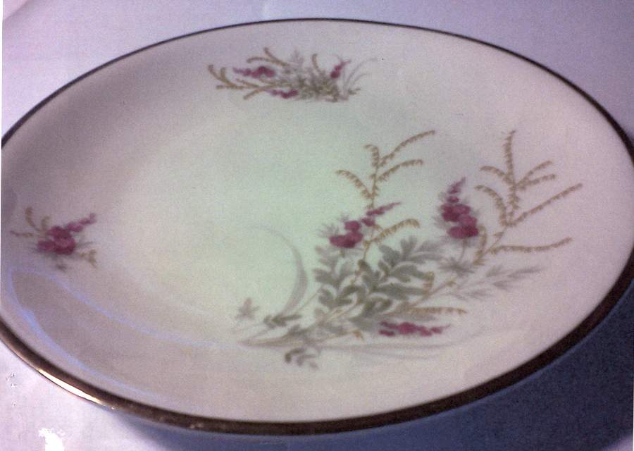 E02450 Salad Plate by Johann Haviland-1