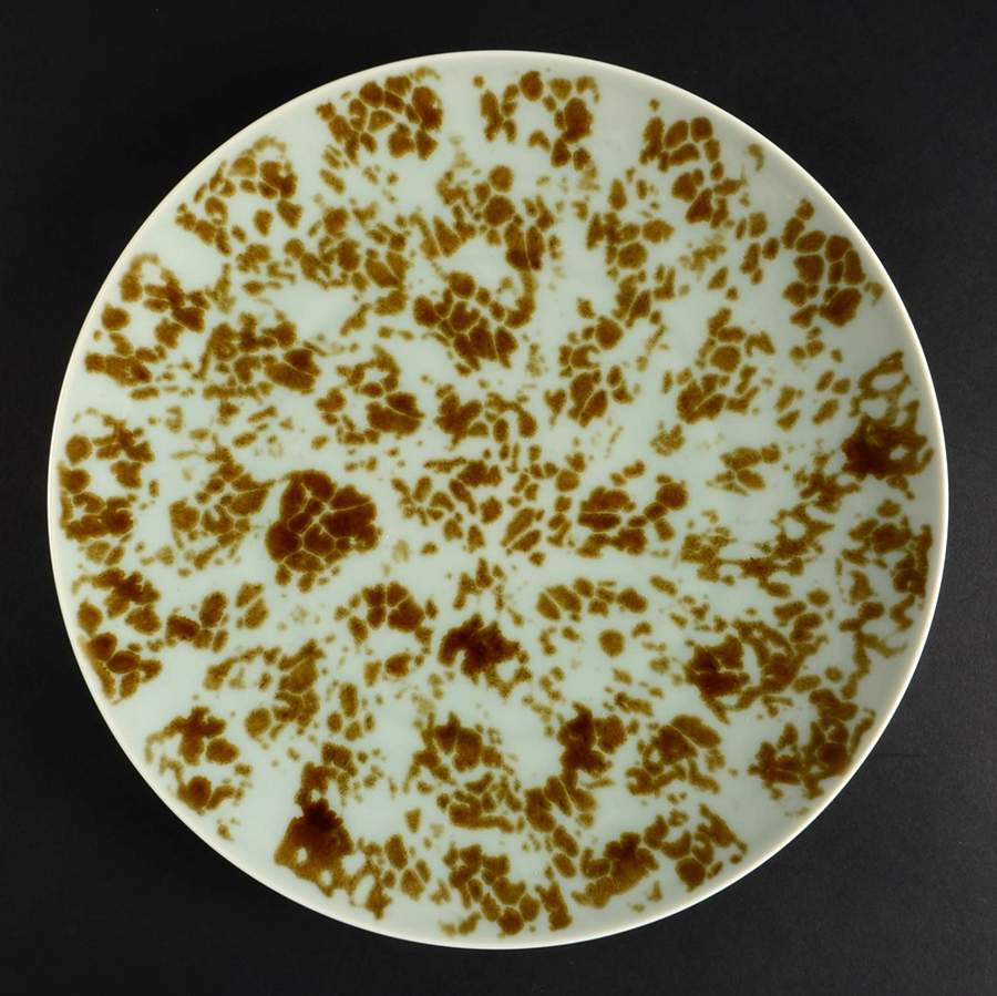 Tortoise Celadon Dinner Plate by Jaune de Chrome-1