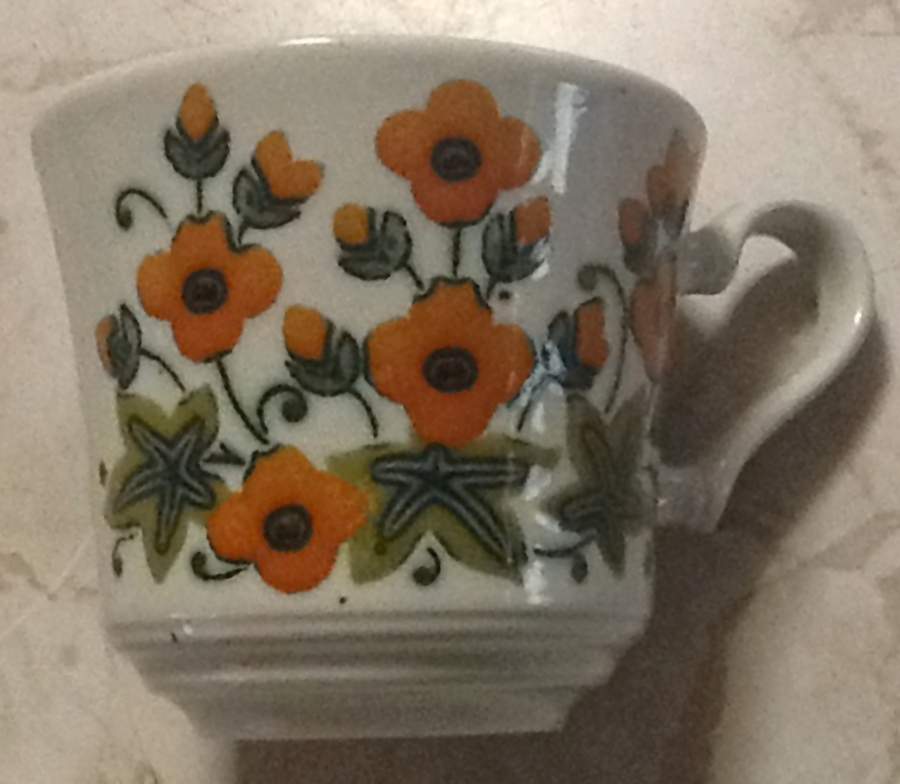 JB1231 Flat Cup by Johnson Brothers-1